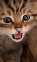image png