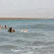 baie in mare jpg