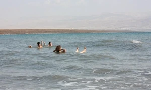 baie in mare jpg