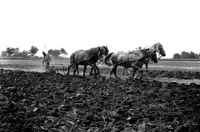 Agricultori în anii 30 FOTO Josef Franz Engelmann