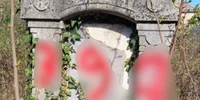 vandalism cimitirul evreiesc Arad, foto Politia Romana jpg