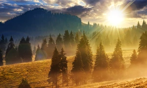 Toamna Romania ceata FOTO Shutterstock jpg