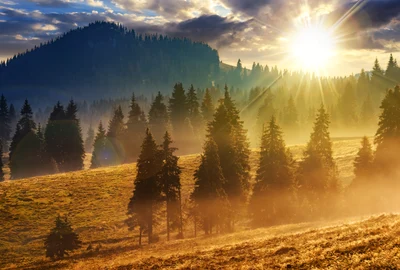 Toamna Romania ceata FOTO Shutterstock jpg