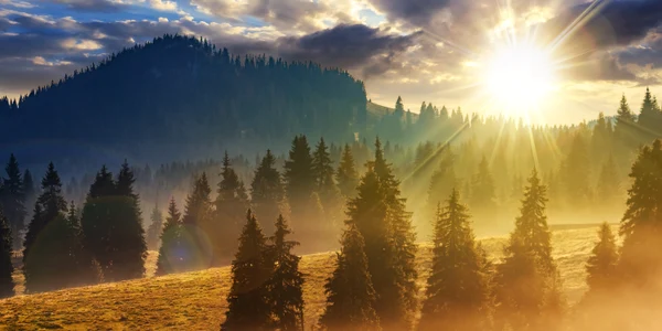 Toamna Romania ceata FOTO Shutterstock jpg