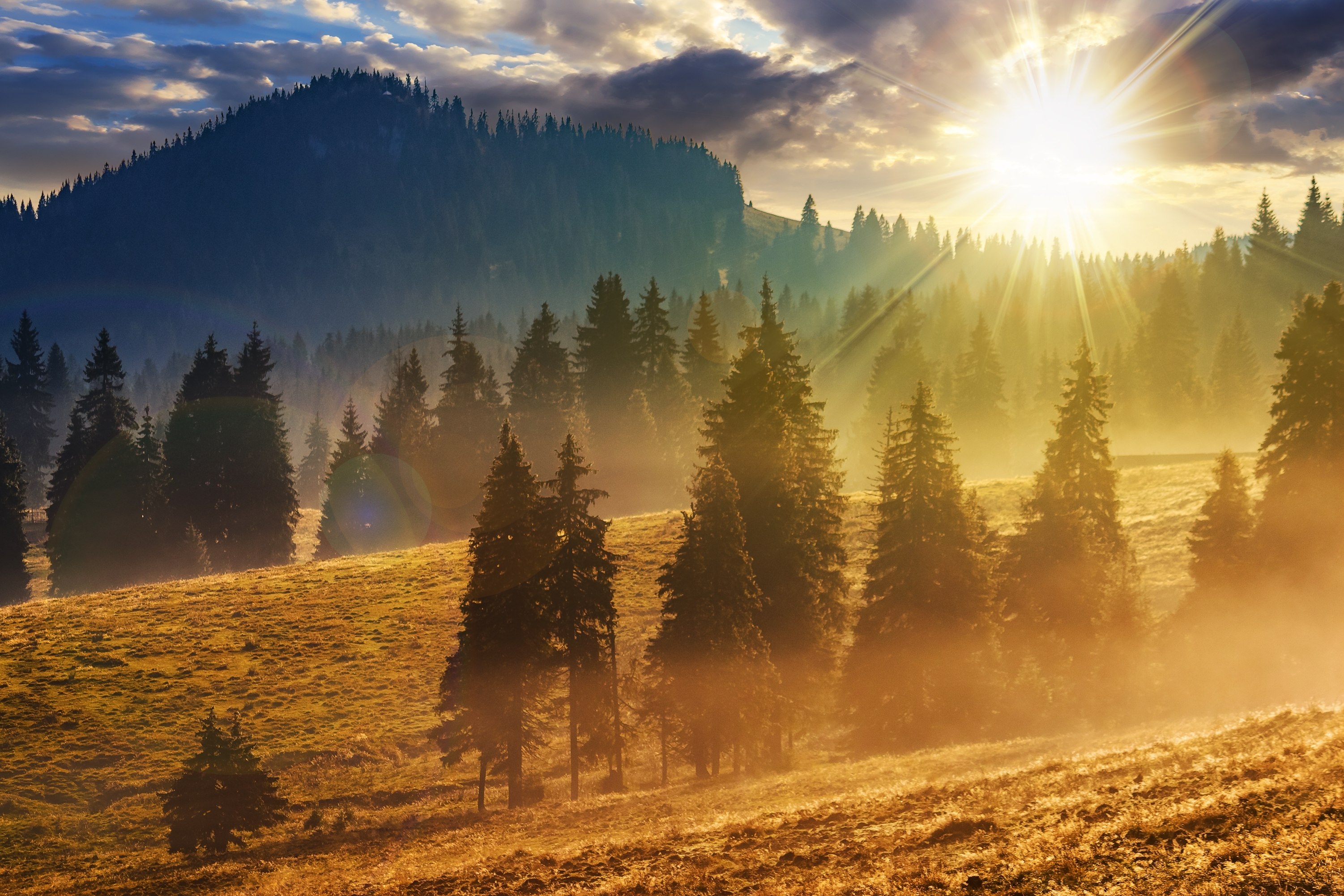 Cum va fi vremea în țară pentru următoarele două săptămâni. Când începe să plouă și vine frigul