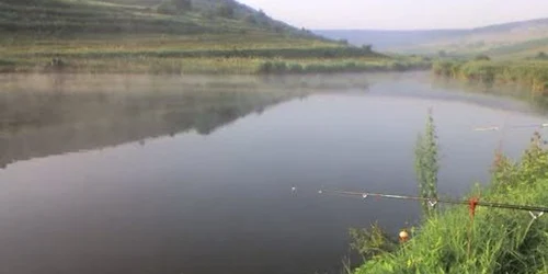balta peste daia romana