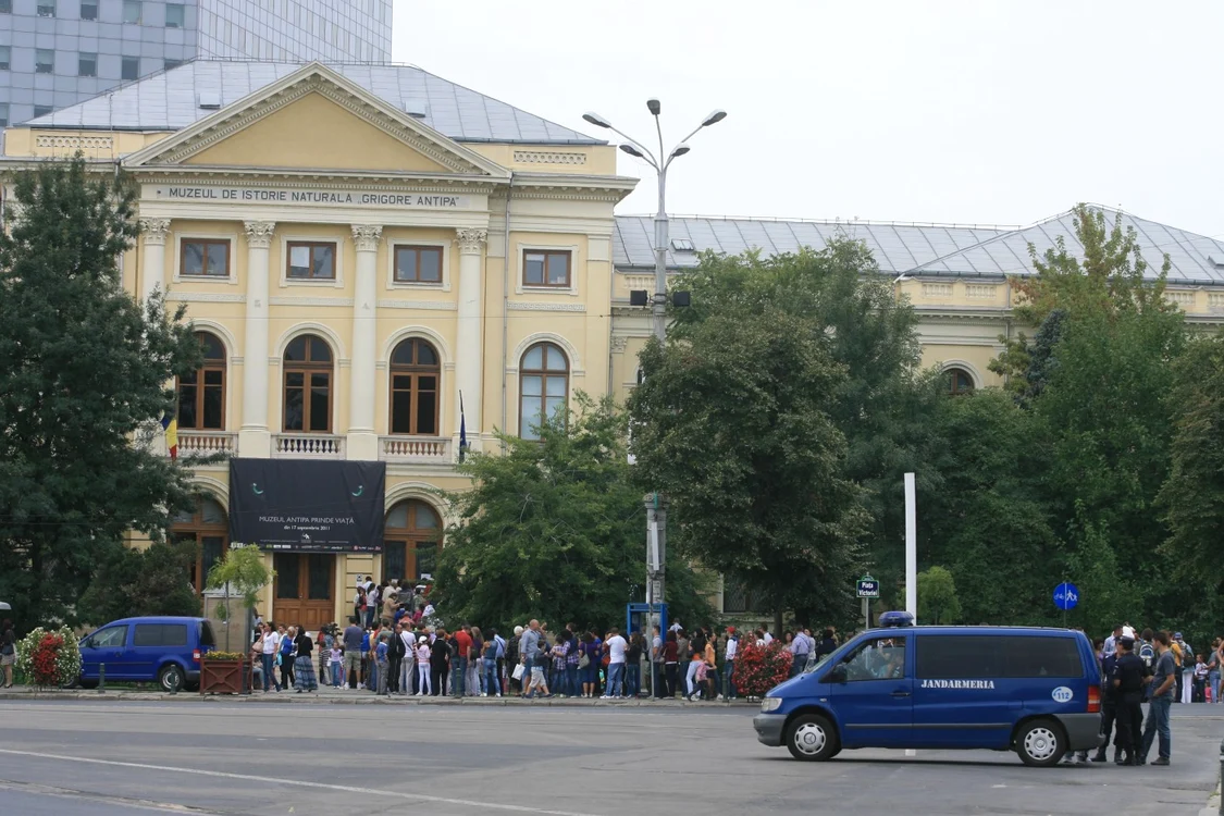 Muzee din Bucureşti, program. Muzeul Antipa se află pe lista celor mai căutate din Capitală FOTO Arhivă