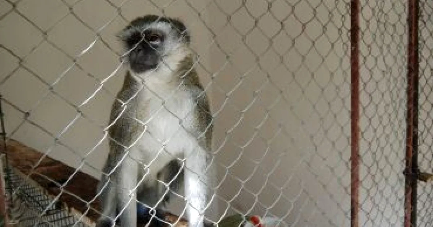 Slatina: Grădina Zoologică de la Strehareţi, un loc părăsit