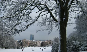p 21 Bruxelles WC jpg