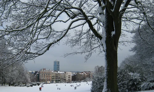 p 21 Bruxelles WC jpg