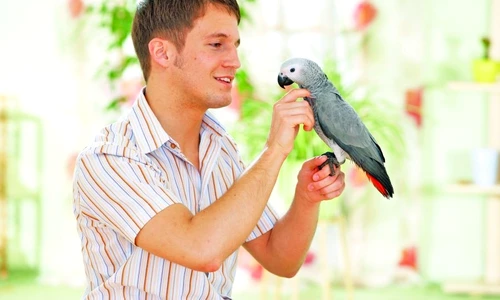 1 47090 original jpg jpeg