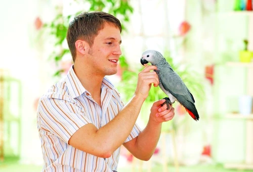 1 47090 original jpg jpeg