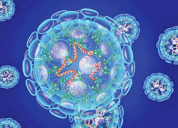 
    Vedeta, care a fost ultima oară în Asia acum şapte luni, a gustat şarpe prăjit  
