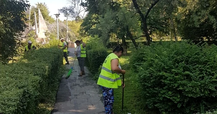 Spaţiile verzi din Focşani au cam lăsat de dorit în acest an