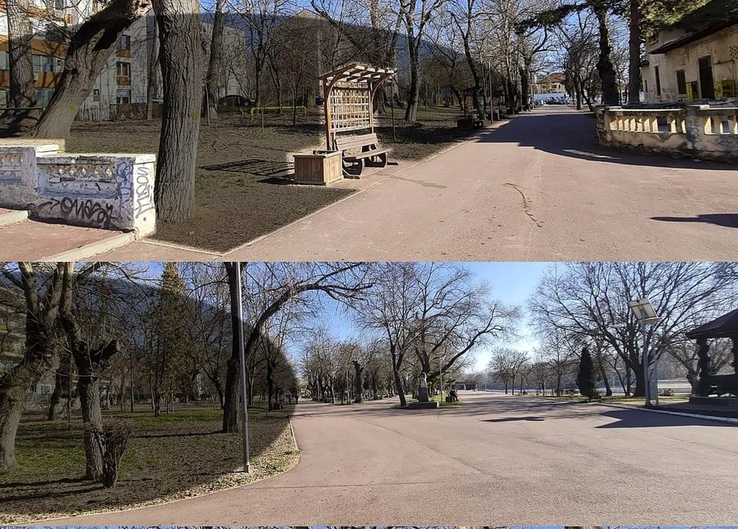 Mai mulţi arbori din parc vor fi tăiaţi pentru a face loc arterei auto FOTO Facebook/PNL Călăraşi