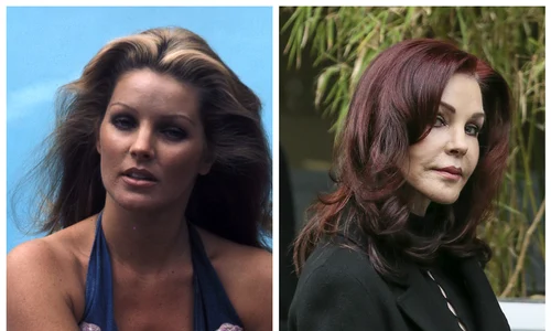 prisiclla FotorCreated jpeg