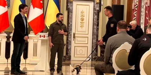 Cainele Patron decorat FOTO Twitter