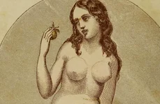 Ponturi despre sex din 1861: lucrurile greşite pe care femeile şi bărbaţii le învăţau despre amor jpeg