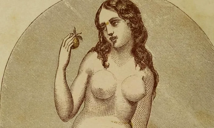 Ponturi despre sex din 1861: lucrurile greşite pe care femeile şi bărbaţii le învăţau despre amor jpeg