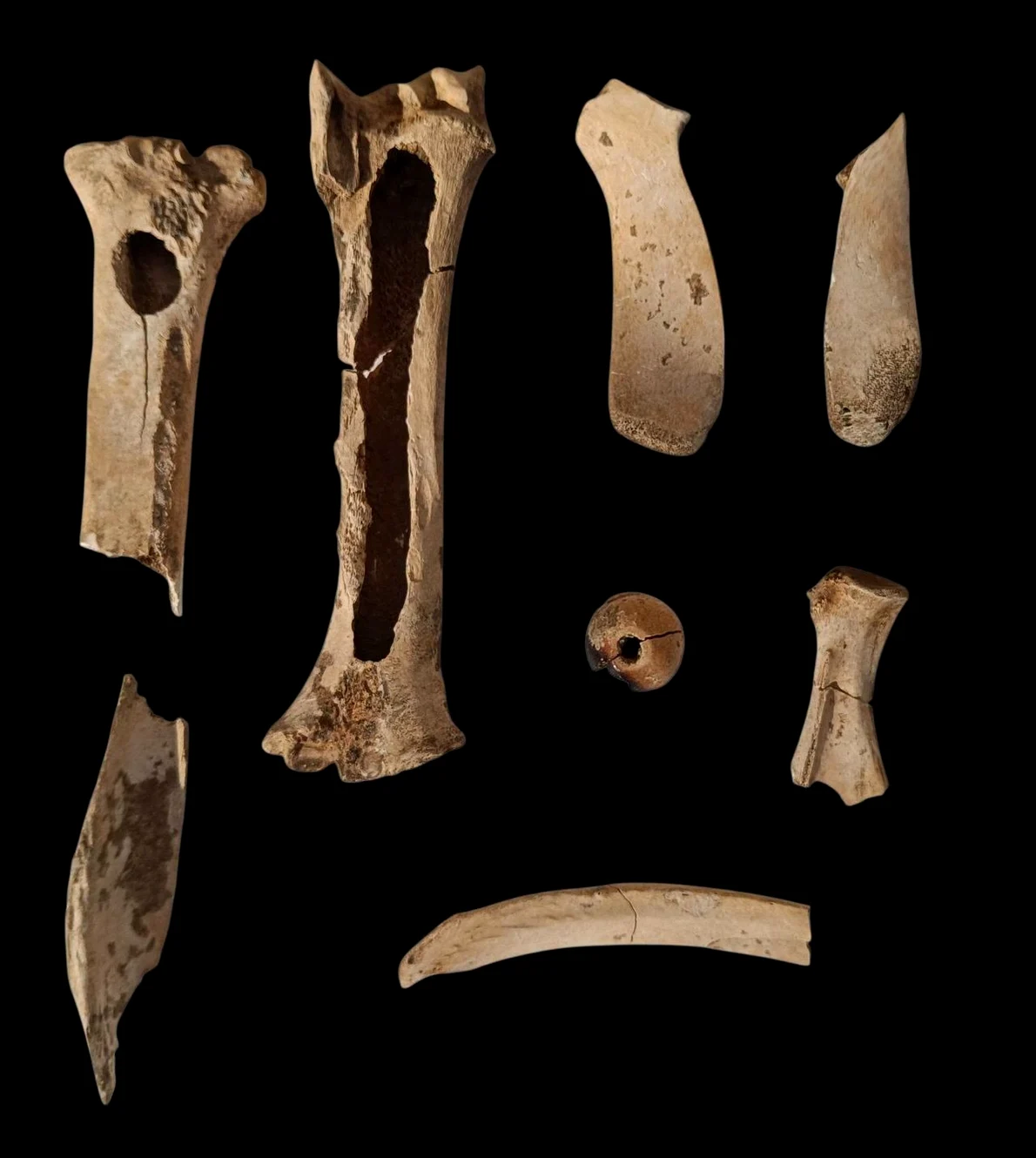 O posibilă „trusă” a unui meșteșugar din Epoca Bronzului, descoperită de arheologi în județul Neamț