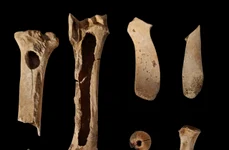O posibilă „trusă” a unui meșteșugar din Epoca Bronzului, descoperită de arheologi în județul Neamț
