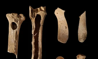 O posibilă „trusă” a unui meșteșugar din Epoca Bronzului, descoperită de arheologi în județul Neamț