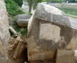 Sculpturile de pe malul Begăi FOTO Adrian Ioniţă
