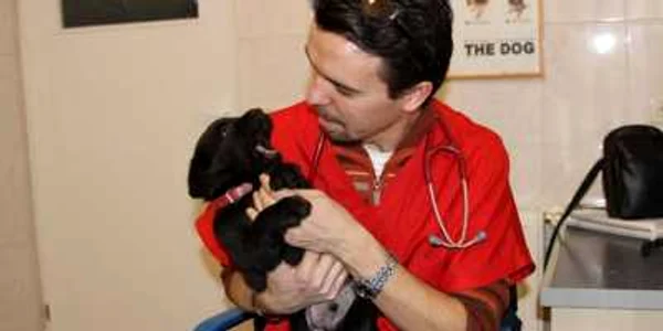 Troy s-a distrat de minune în braţele veterinarului