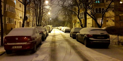 Prima ninsoare din 2019. Timişoara a îmbrăcat din nou haine albe FOTO Ş.Both