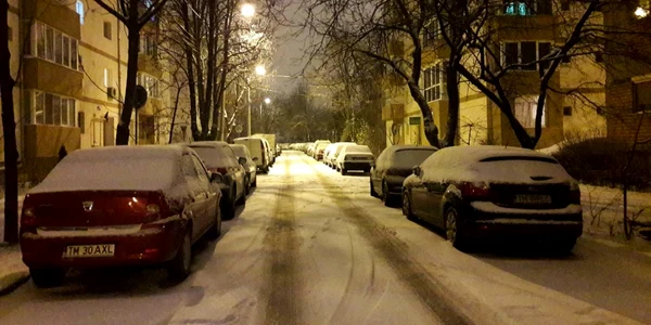 Prima ninsoare din 2019. Timişoara a îmbrăcat din nou haine albe FOTO Ş.Both