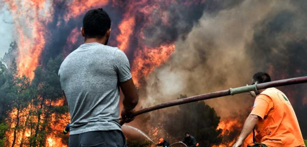 Incendiile controlate, un succes în Grecia. Au sporit biodiversitatea şi au îmbogăţit solul