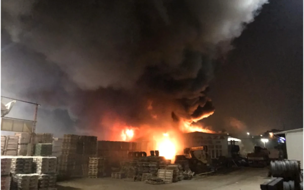 Incendiul de la Fundeni a fost stins cu greu(Sursa: Captura video)