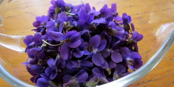 Toporaşi pregătiţi pentru dulceaţă FOTO darielfair.blogspot.com