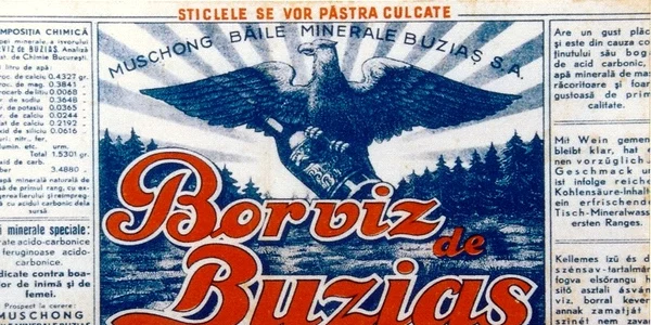 Apă minerală Buziaș FOTO Blog/Ploaia de cuvinte