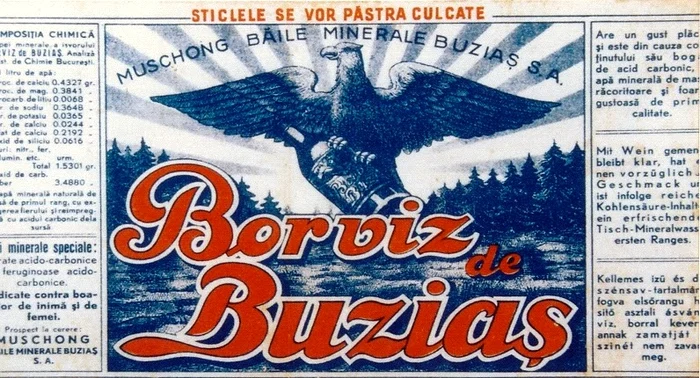 Apă minerală de la Buziaș FOTO blog/Ploaia de cuvinte