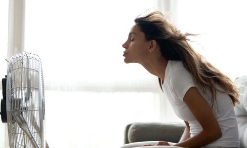 1 shutterstock 1536165173 jpg jpeg