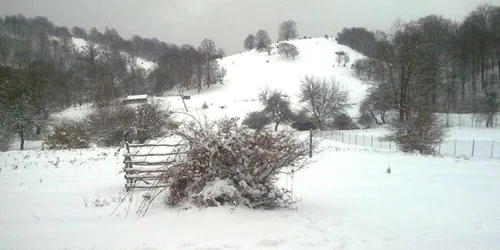 Femeia a fost găsită după câteva zile în livadă
