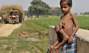 CLIIMA20100302 0179 1 jpeg