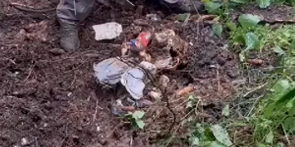 ecologizare ranca sursa dana oniga mp4 thumbnail png
