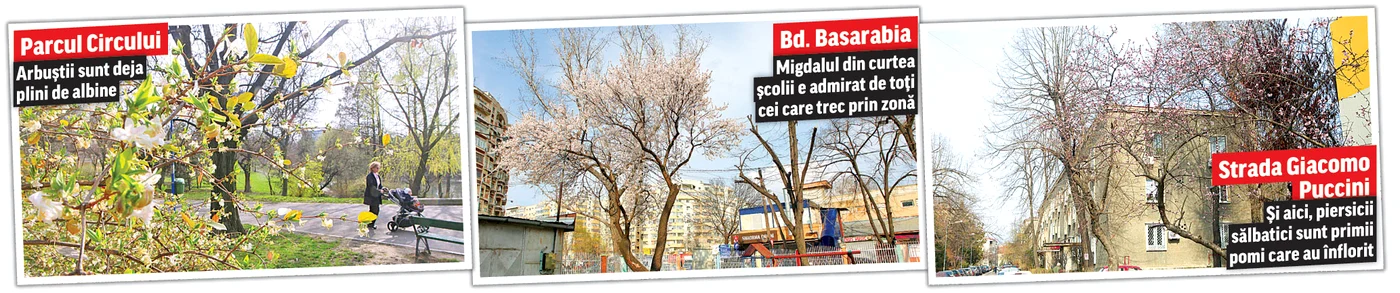 
    Foto: Sever Gheorghe  