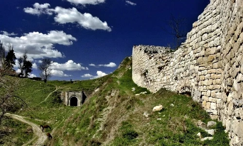 resize 1440 960 jpg