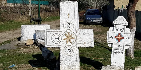 cruci negoita jpg