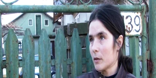 viisoara mama eleva