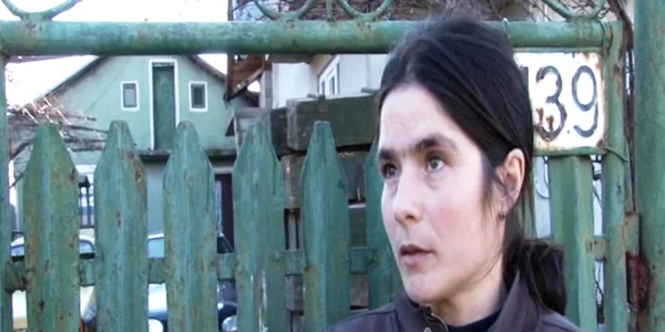 viisoara mama eleva