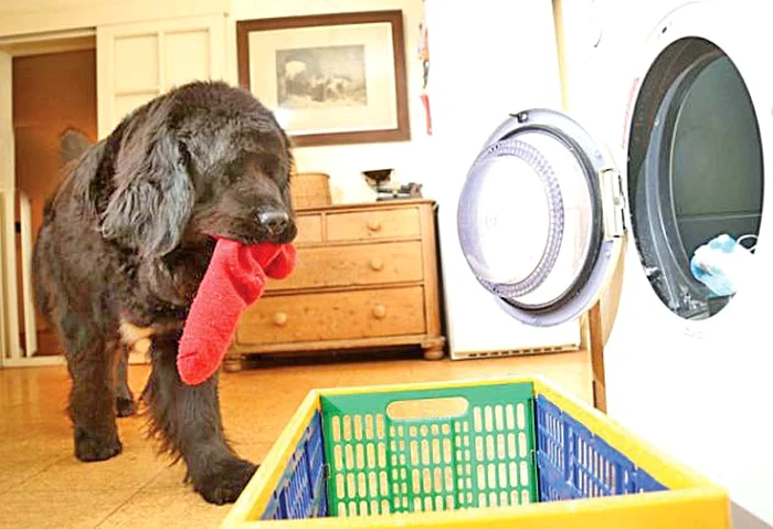 Pune rufele la spălat