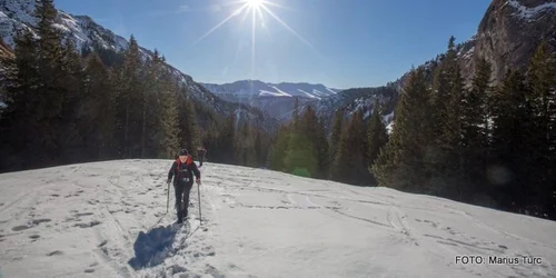 retezatul mic foto marius turc