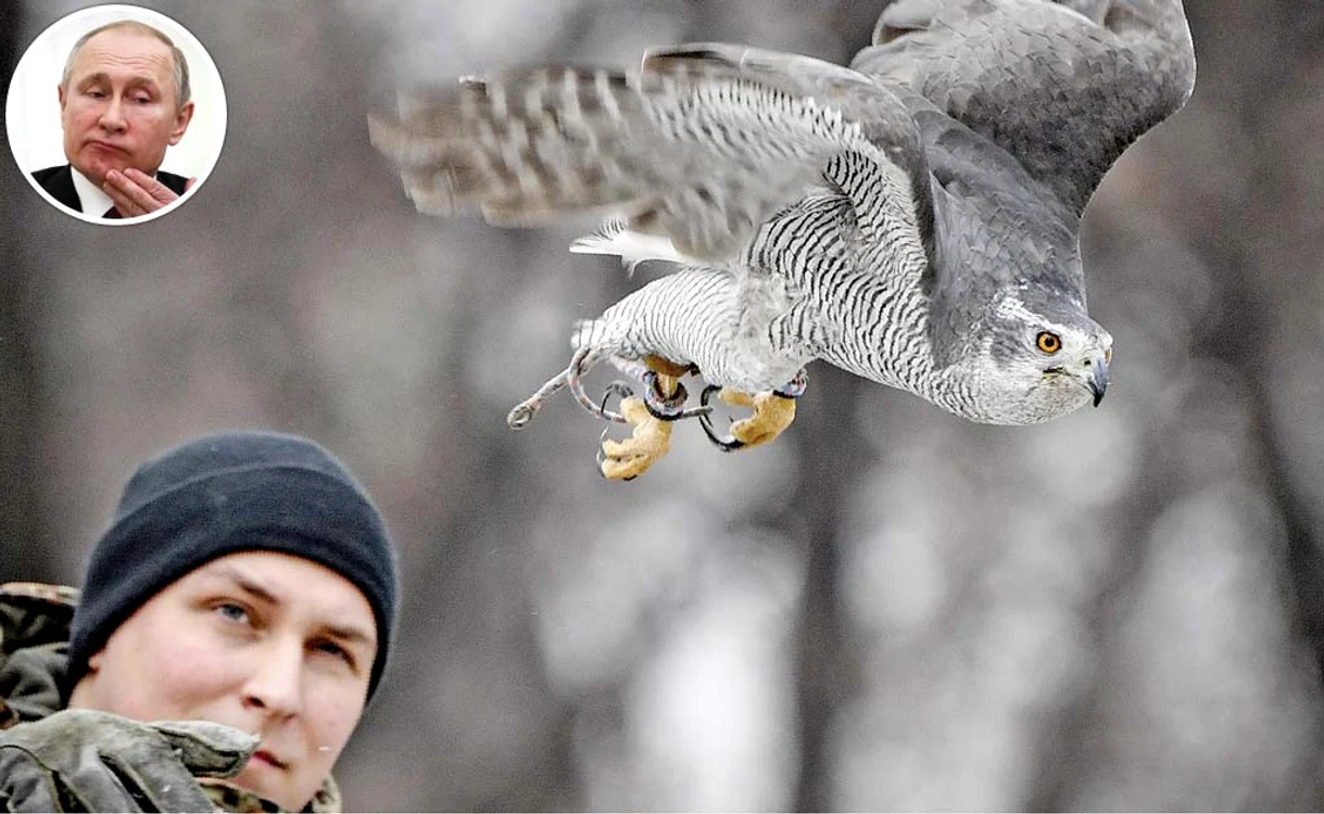 
    Alexei Vlasov (28 de ani) este antrenorul femelei de uliu AlphaFoto: AFP  
