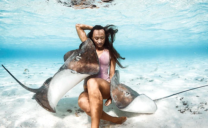 Fotomodelele au pozat artistic alături de pisicile de mare