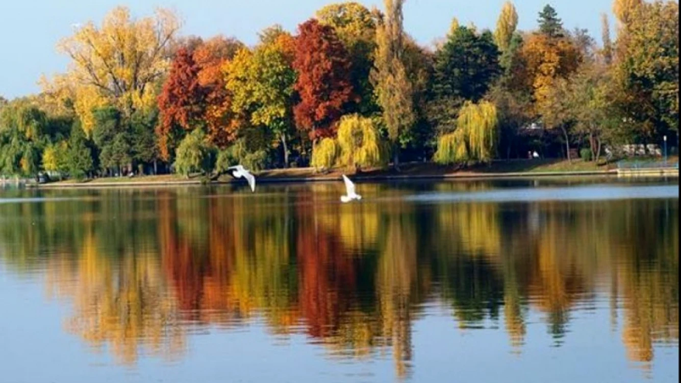 
    Lacul Herăstrău se află pe lista apelor unde se fac tratamente împotriva larvelor de țânțari   