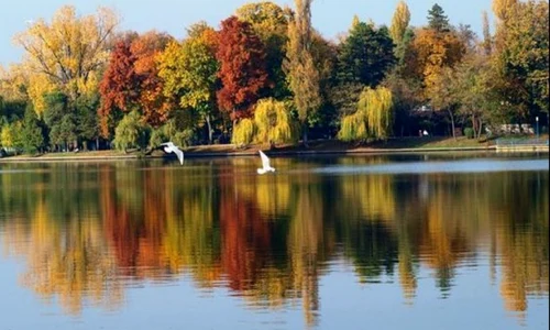 lacul herastrau jpeg